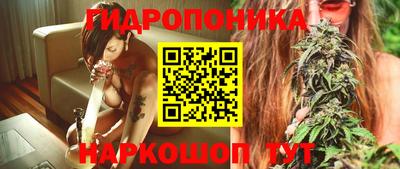 стафф Краснокаменск