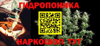 стафф Краснокаменск