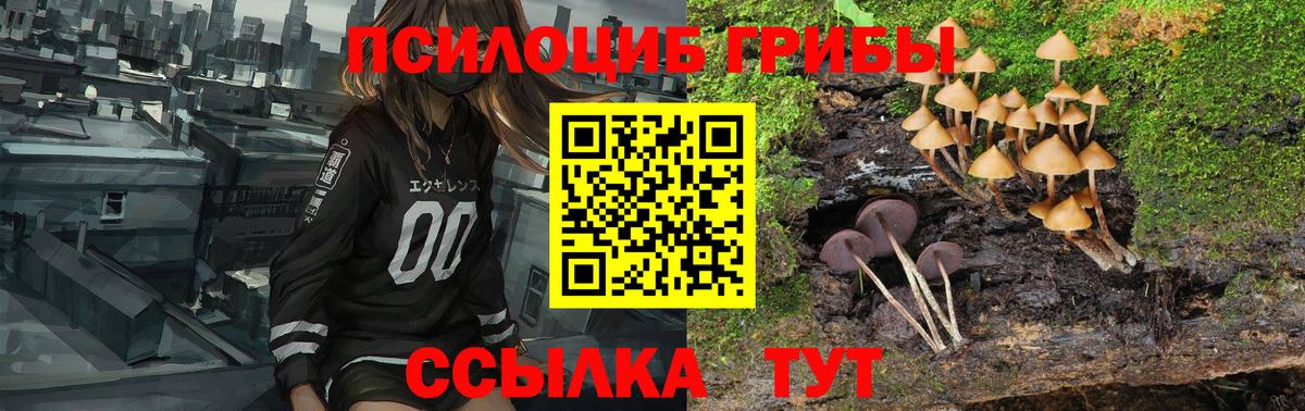Псилоцибиновые грибы прущие грибы Ейск